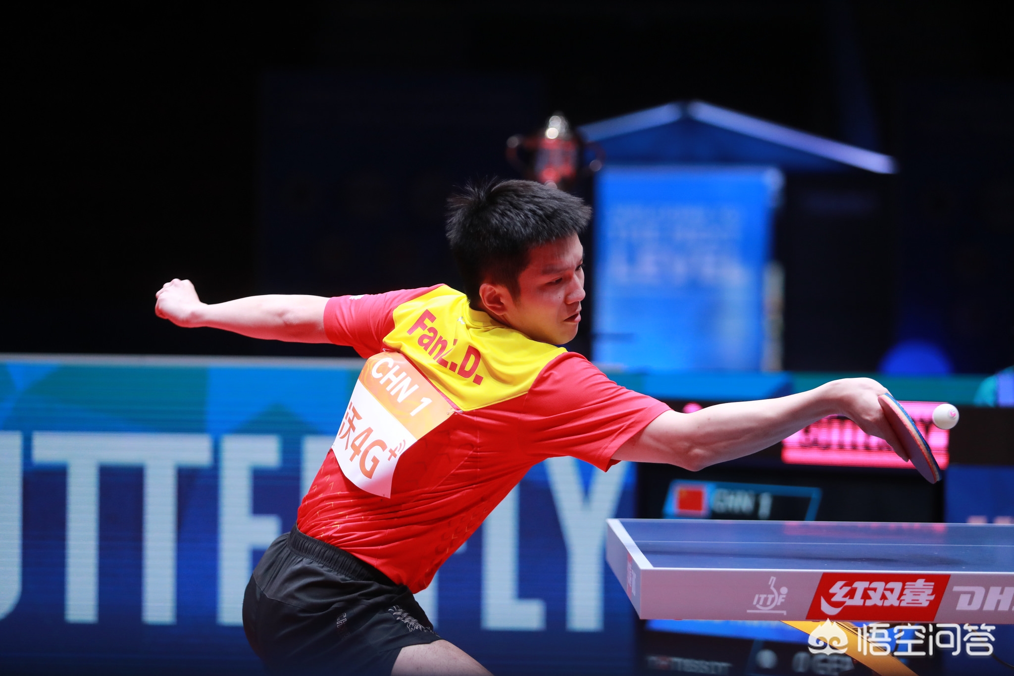 韧性和深度 韧性和深度