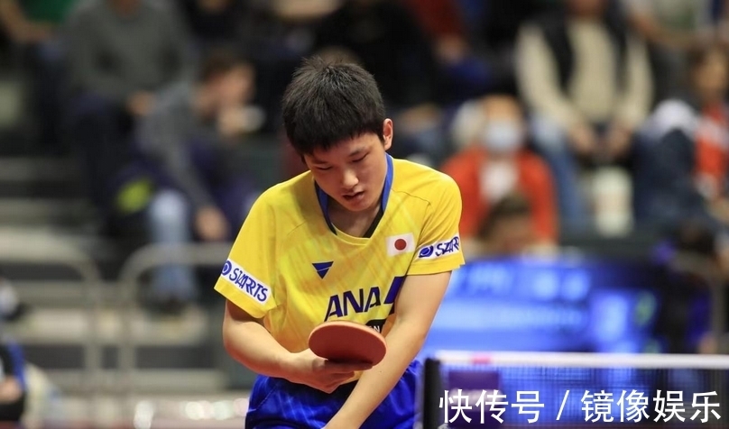 共同勾勒出 共同勾勒出